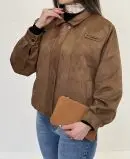 بامبر دلوین
